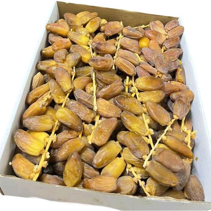 Kurma Tunisia Tangkai Premium Dates Kemasan Plastik Tebal