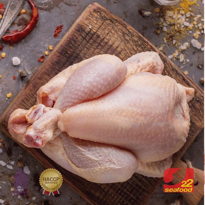 

Pilihan- Ayam Karkas Broiler 1 Kg / Ayam Potong Utuh / Seafood 22