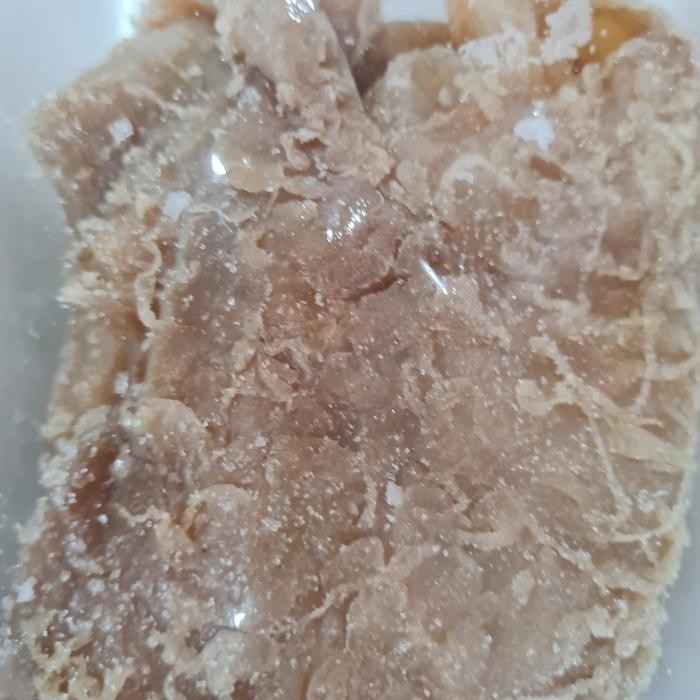 

Pilihan- Ubur Ubur Mentah Bahan Chuka Kurage Jelly Fish Makanan Sehat Jepang