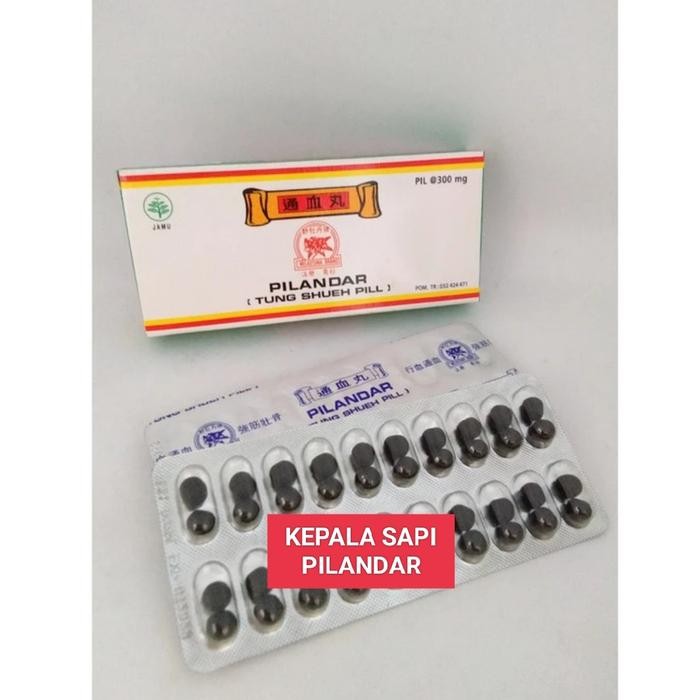Guardian Birdcaree - Obat Jamu Pill Burung Merpati Kepala Sapi Pilandar Tung Shueh Cidera