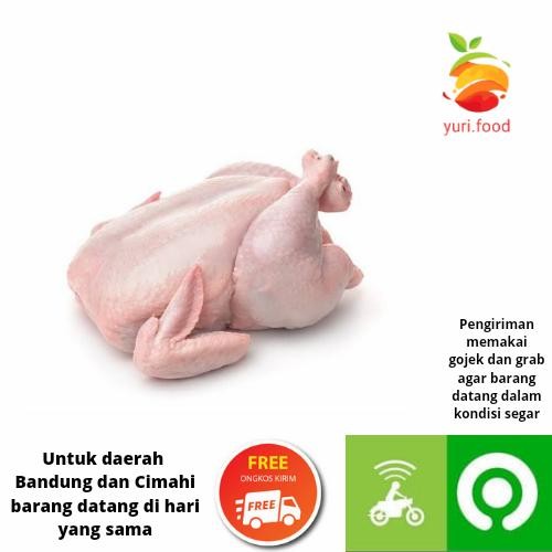 

Pilihan- Daging Ayam 1Kg
