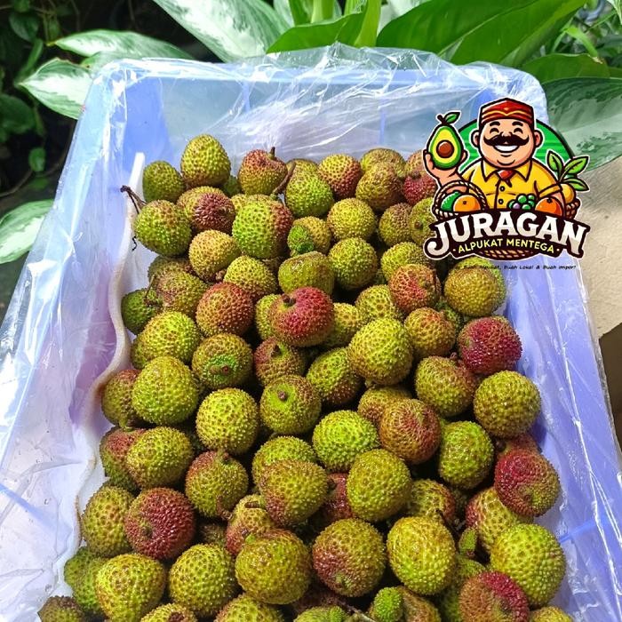 Pilihan- Leci Madu Lychee Madu Manis Fresh / Leci Madu Lychee Madu Hijau Manis / Leci Madu