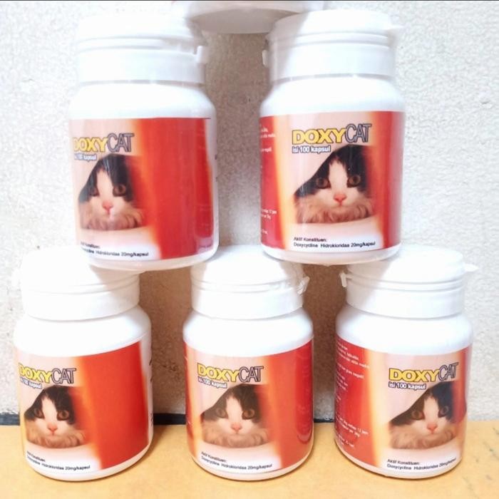 obat flu kucing organic doxy cat isi 50 tablet/botol