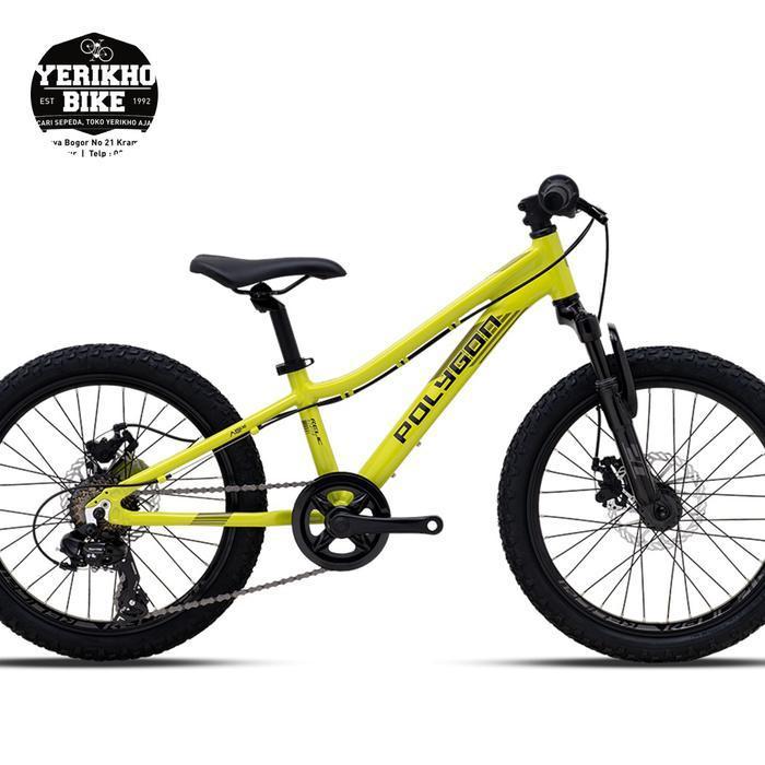 Sepeda Bmx Mtb 20 Polygon Relic - Hijau