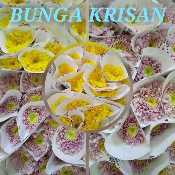 Baru Bunga Krisan Segar 10 Tangkai Bunga Potong