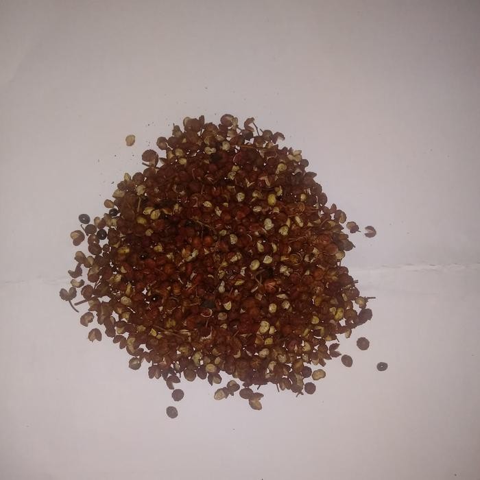 

BIJI MALA MERAH/FAT CIAUW MERAH/LADA SECUAN UK 1KG