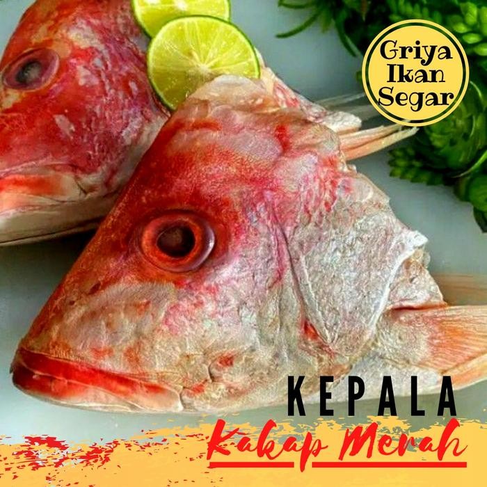 

Pilihan- Kepala Ikan Kakap Merah 500Gram