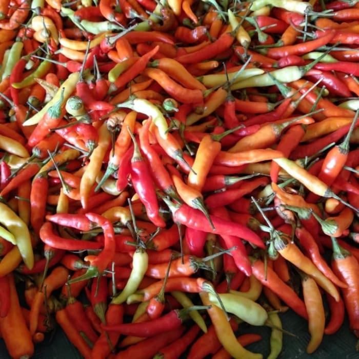 Segar&amanah- Cabe Rawit Setan 1Kg