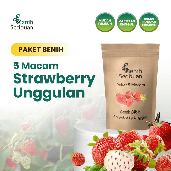 BIBIT F1 BENIH STRAWBERRY 5 MACAM BENIH BUAH STROBERI UNGGUL SERIBUAN
