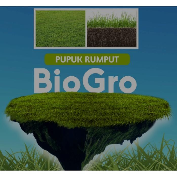 

Promo Biogrow Pupuk Rumput Gajah Mini 500Ml, Vitamin & Penyubur Rumput, Rumput Jepang ,Meningkatkan