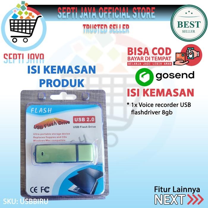 Kamera Kecil Tersembunyi Usb Flashdrive Voice Recorder Flashdisk