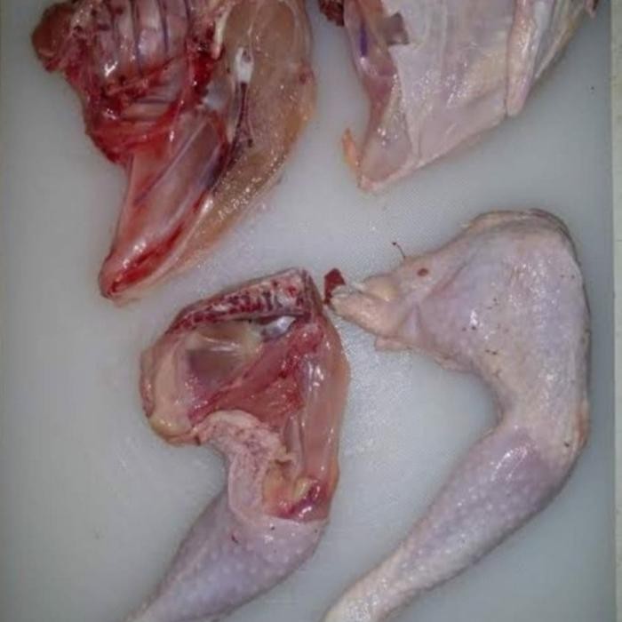 

Pilihan- Paha Ayam Kampung Asli Bukan Blasteran / Ayam Kampung Asli Paha Segar