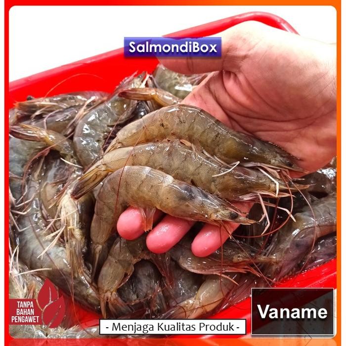 Pilihan- Udang Vaname Fresh Size 30-40 Ekor/Kg