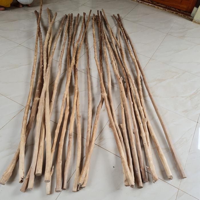 Panjang 2 meter kayu kopi tangkringan burung