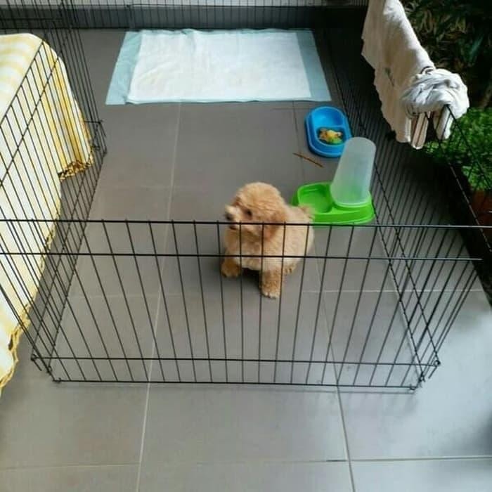 Kandang Pagar Besi Anjing Kucing Kelinci Ayam Hewan