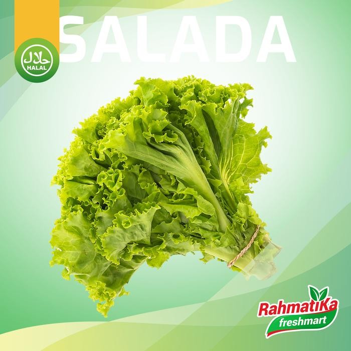 Segar&amanah- Selada Segar / Daun Selada Fresh / Sayur Selada 1 Kg (Sayur Segar)