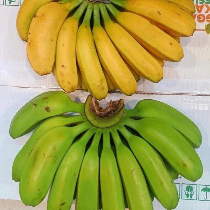 SegArRr- Pisang Pisang Kepok Pisang Kepok Papua