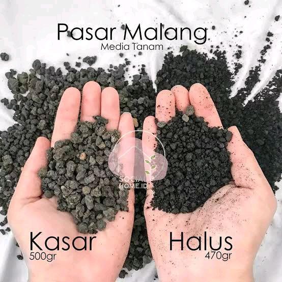 Pas3Ir Malang - Media Tanam Pasir Malang Kasar / Media Tanam Pasir Malang Halus - Media Tanam Kaktus
