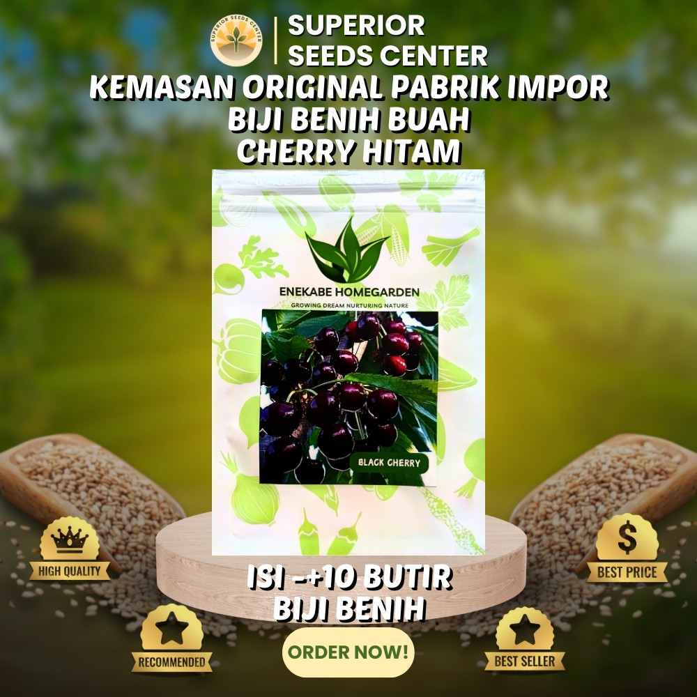 10 Butir Biji Benih Buah Cherry Hitam (Kemasan Original Pabrik Impor)