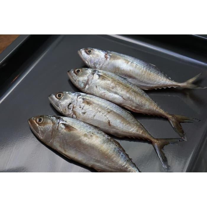 

Pilihan- Ikan Kembung Banjar 1 Kg Fresh 1000 Gram/Pack 1Kg