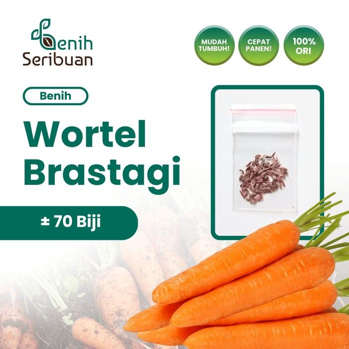 Terlaris 70 Benih Wortel Brastagi Medan Bibit Tanaman Sayuran Buah Panjang SALE