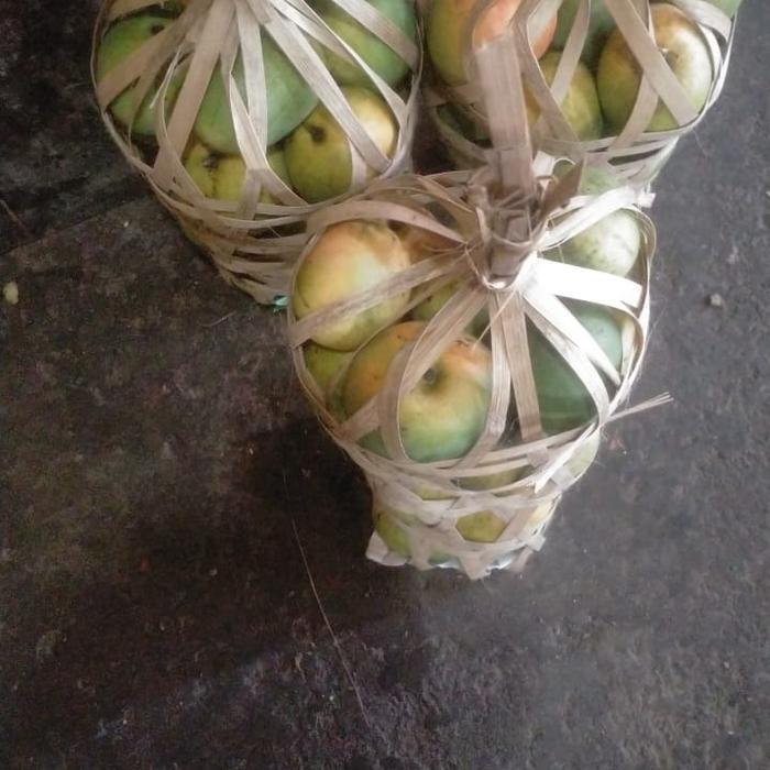 mangga gincu