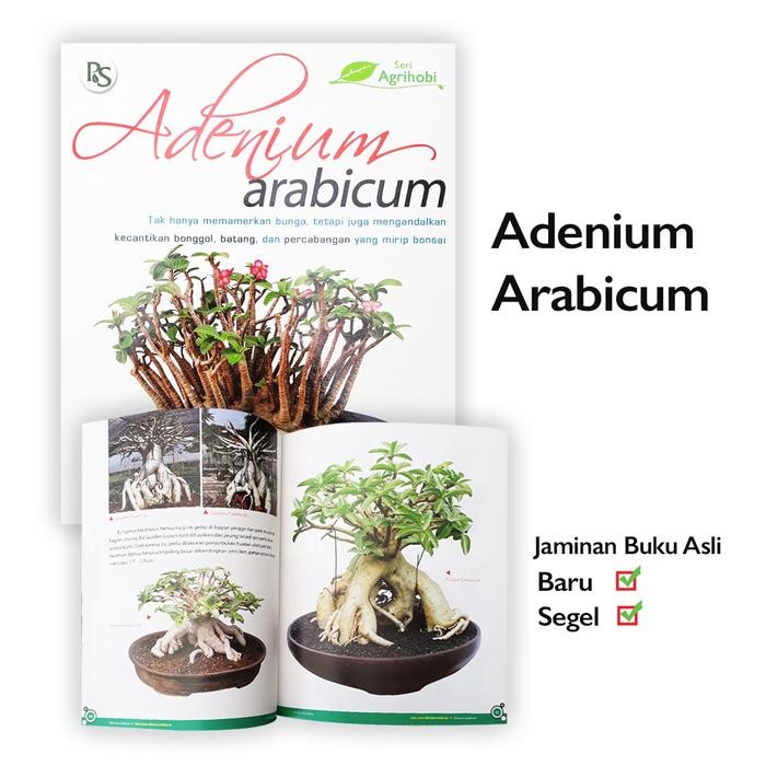 

Buku Hobi Bertanam Adenium Arabicum Tanaman Hias mirip Bonsai