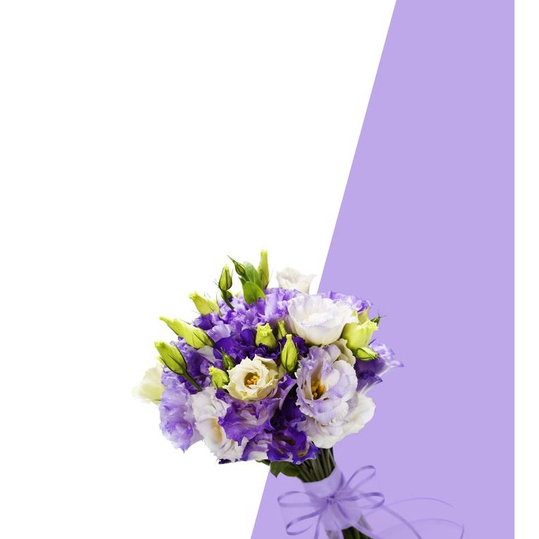 

Promo Nutrisi Hidroponik Ab Mix Bunga ( Flowermix 5 Liter ) Terlaris