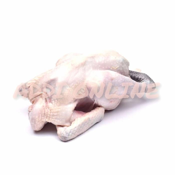 Pilihan- Ayam Kampung Potong Segar 1 Ekor