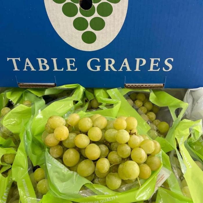 

Pilihan- Anggur Hijau Seedless Manis 1 Kg