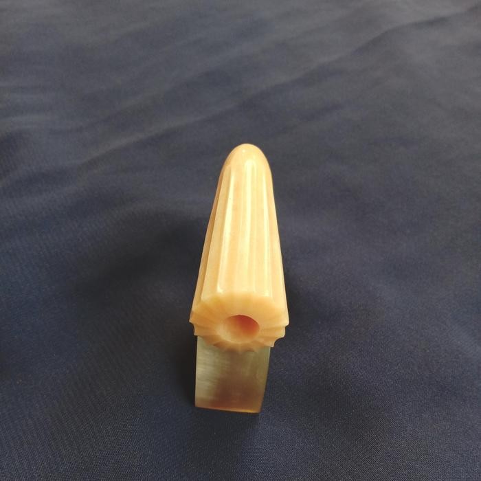 TERLARIS once tulang iga duyung. blimbing panjang READY STOCK