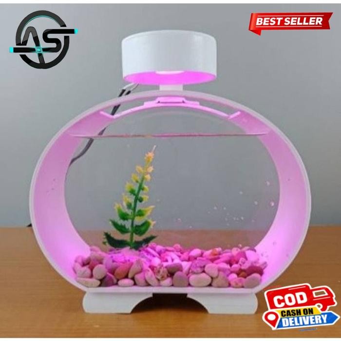 Aquarium ikan Cupang Soliter Akrilik Aquarium mini lengkap dengan batu bunga hias plus lampu