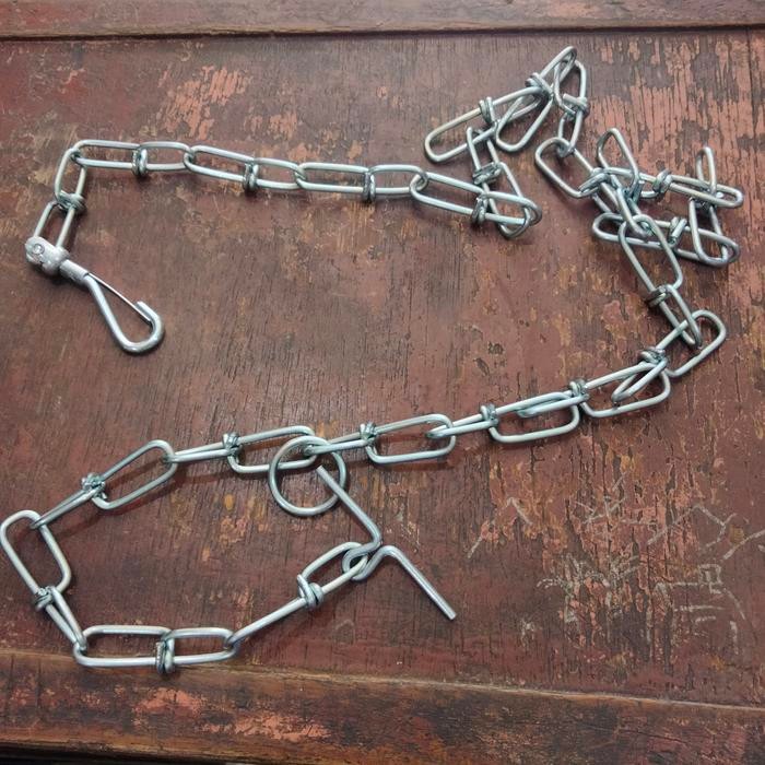 LgsGpROses- Rantai Anjing Besar