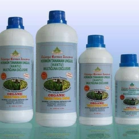 Jlterang Pupuk Aglonema, Monstera, Anggrek, Merangsang Tunas, Anakan, Hantu 250