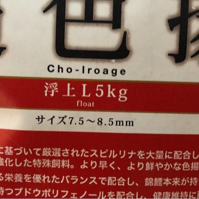 Pelet Pakan Ikan Koi Odakan Color Colour Floating Repack 500 Gram