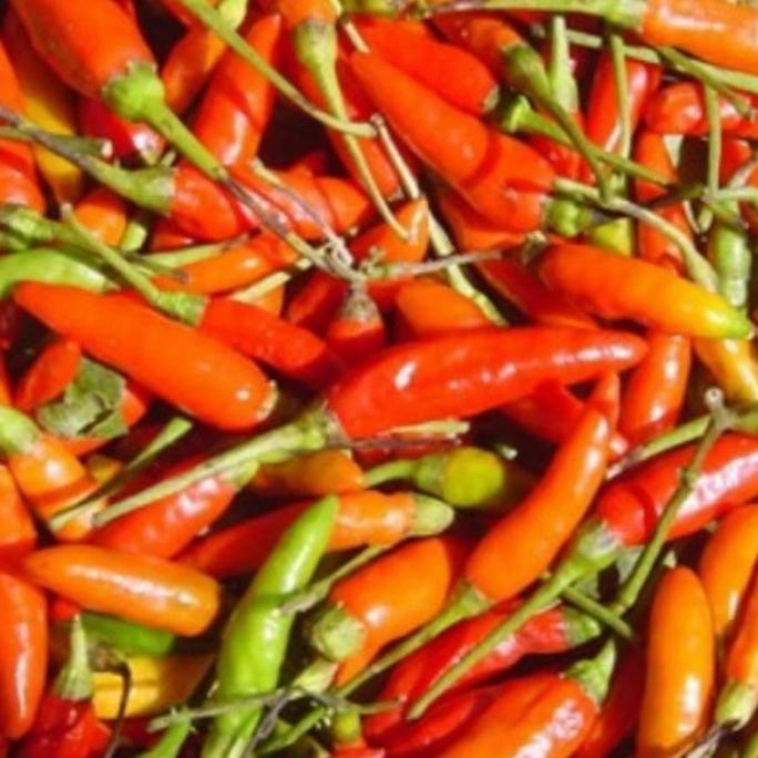 

Pilihan- Cabe Rawit Merah 250 Gr