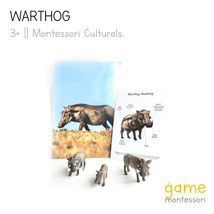 TERBARU MONTESSORI CULTURAL WILD ANIMAL WARTHOG TERMURAH