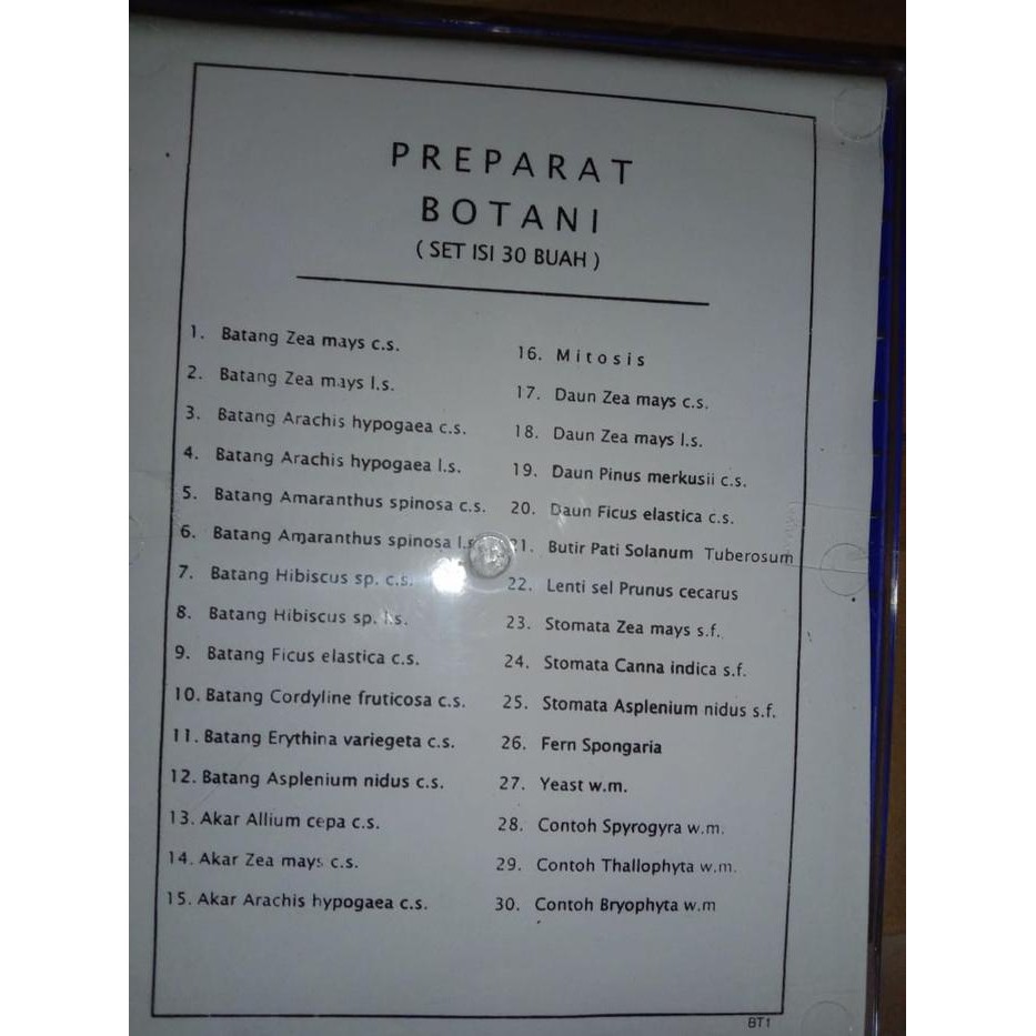Preparat Botani // Mikroskop // Preparat Tumbuhan 30 Buah