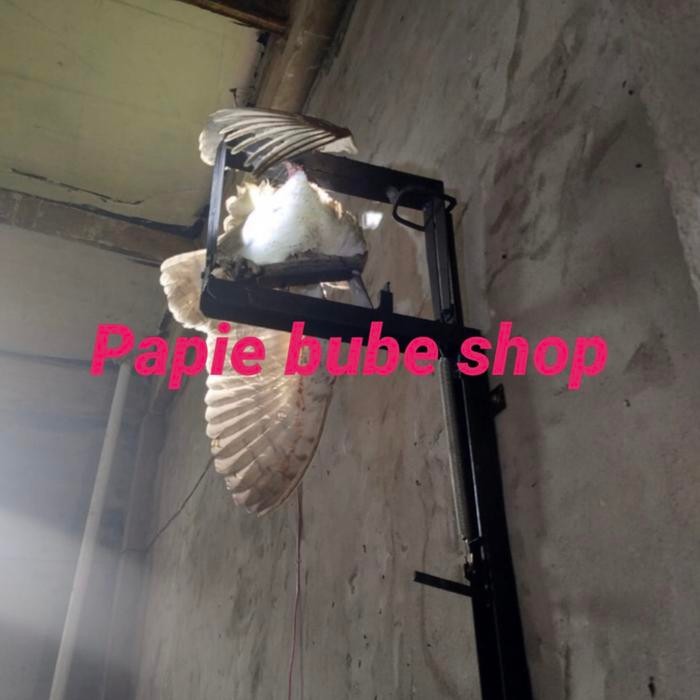 AMPUH Jebakan Burung Hantu Rumah Walet Alat Tangkap Perangkap