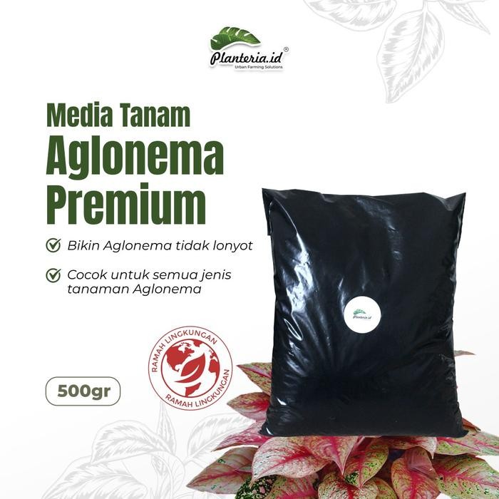 PROMO Media Tanam Aglonema Fermentasi Media Tanam Premium Aglonema tanaman