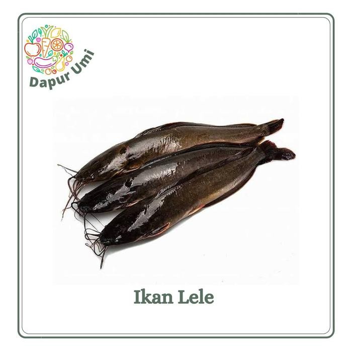 Eat77- Ikan Lele - Ikan Fresh Purwakarta