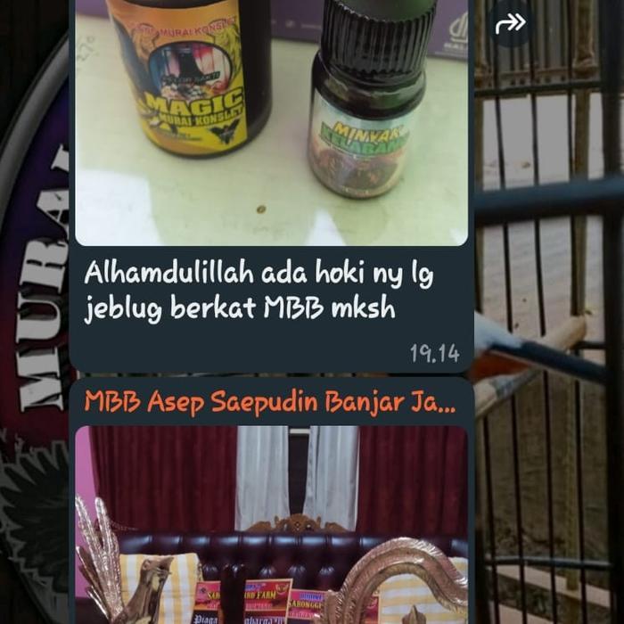 Magic Murai Konslet #Gratisongkir