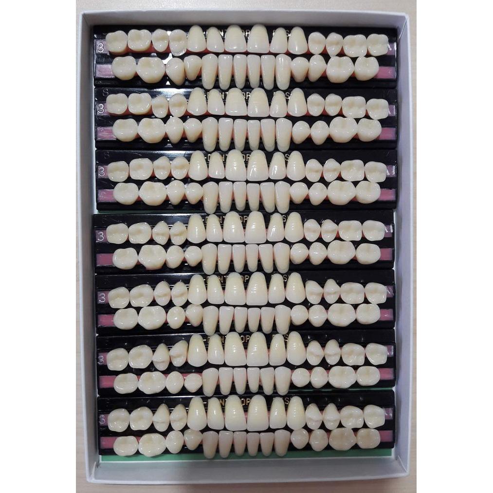 GIGI OPAL H DENT FULL SET, Hakusui Japan