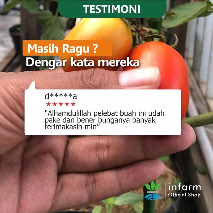 

Promo Infarm - Fruit Expert Nutrisi Tanaman Buah 500 Gram Pelebat Buah Segar Manis Daging Tebal