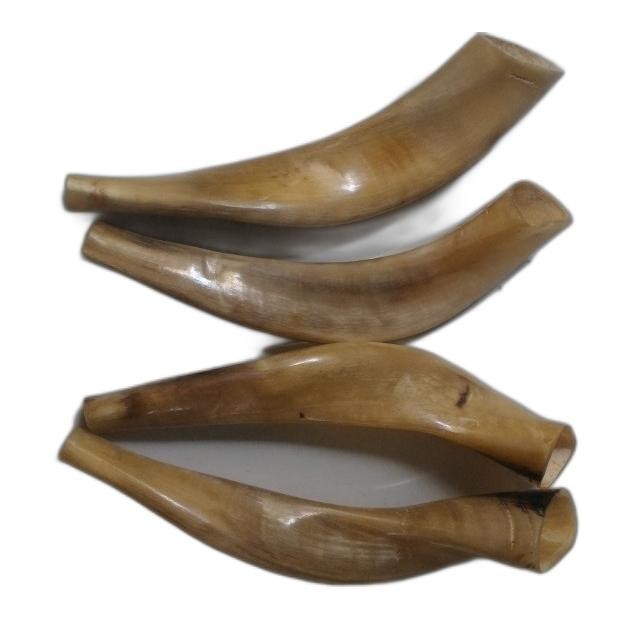 Bisa Termin Ram Shofar Tanduk Domba Terompet Sangkakala