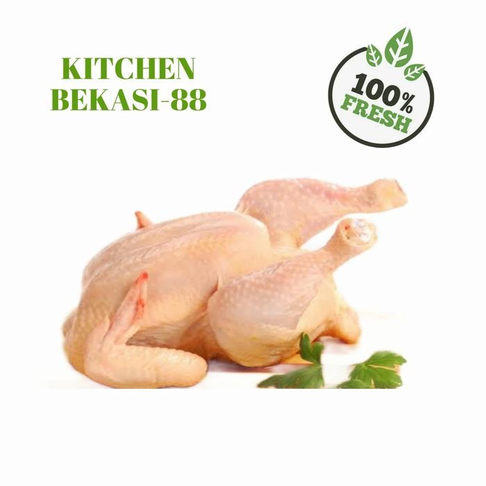 

Pilihan- Kitchen Bekasi-88 Ayam Boiler Utuh Segar Dikit Berbagai Varian Berat 100% Fresh