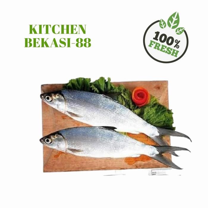 

Pilihan- Sayuran Segar Ikan Bandeng Fresh Makanan Fish