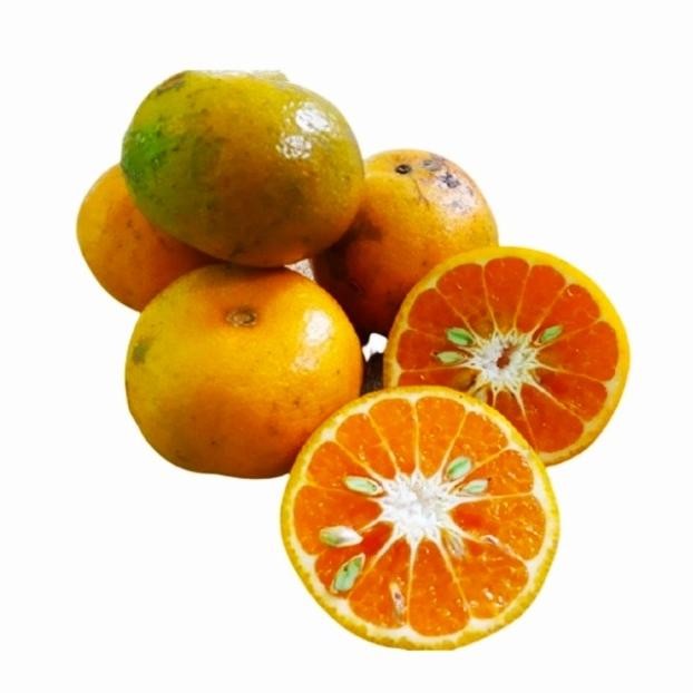 

Pilihan- Buah Jeruk Medan Super Fresh - 1Kg