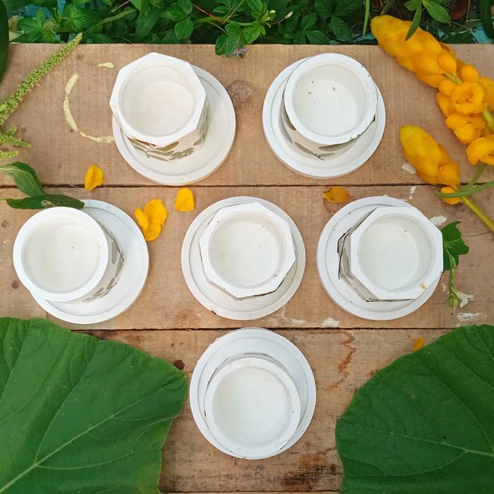 POT MINI KAKTUS SUKULEN CONCRETE LAPIS DAUN ASLI HANDMADE