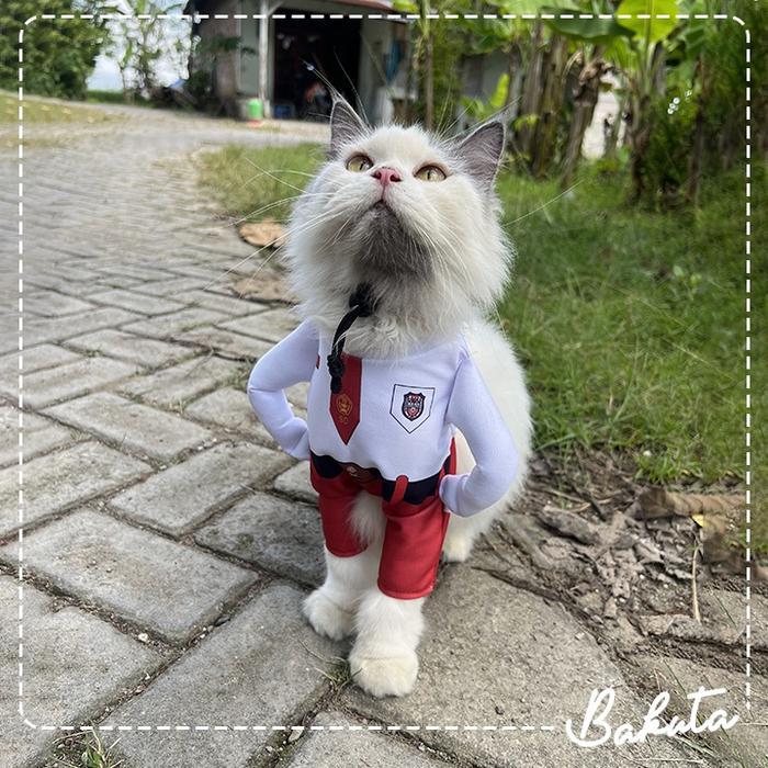[COSTUM NAMA] Kostum Anak Sekolah untuk kucing Baju Berdiri anak SD / Kostum kucing size S-XL